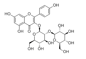 山奈酚-3-O-β-D-槐糖苷（槐角黃酮苷）